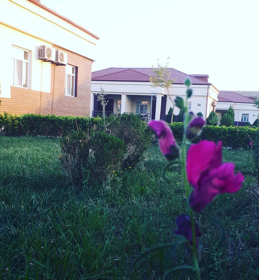 Shamakhy Sport Villas Şamaxı Exteriör bild